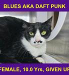 BLUES AKA DAFT PUNK